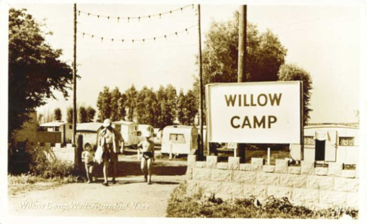 willow camp nazeVintage 1880s 1900s A4 Photo Print