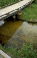 willow creek beaver Vintage A4 Photo Print