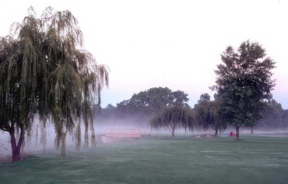 willow field mist Vintage A4 Photo Print