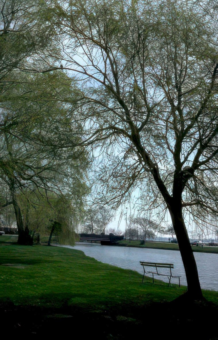 willow river bench Vintage A4 Photo Print