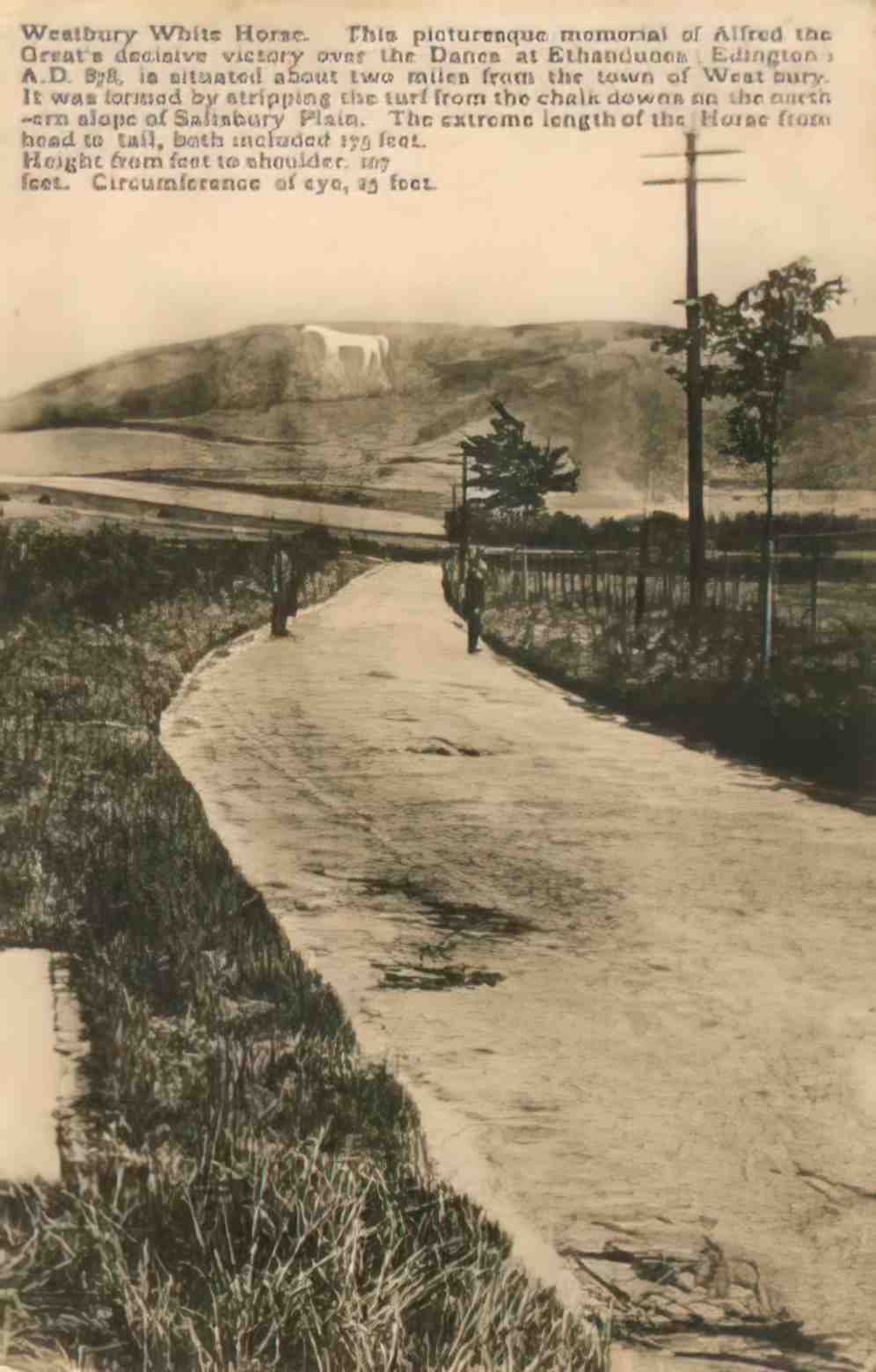 wiltshire Westbury White Horse Vintage A4 Photo Print