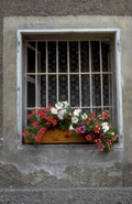 window box flowers 1 1980s 1990s A4 Photo Print
