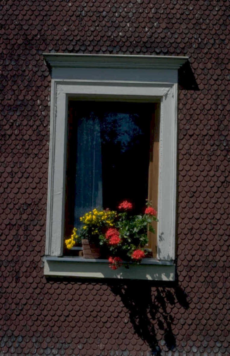 window cottage flowers 1980s 1990s A4 Photo Print