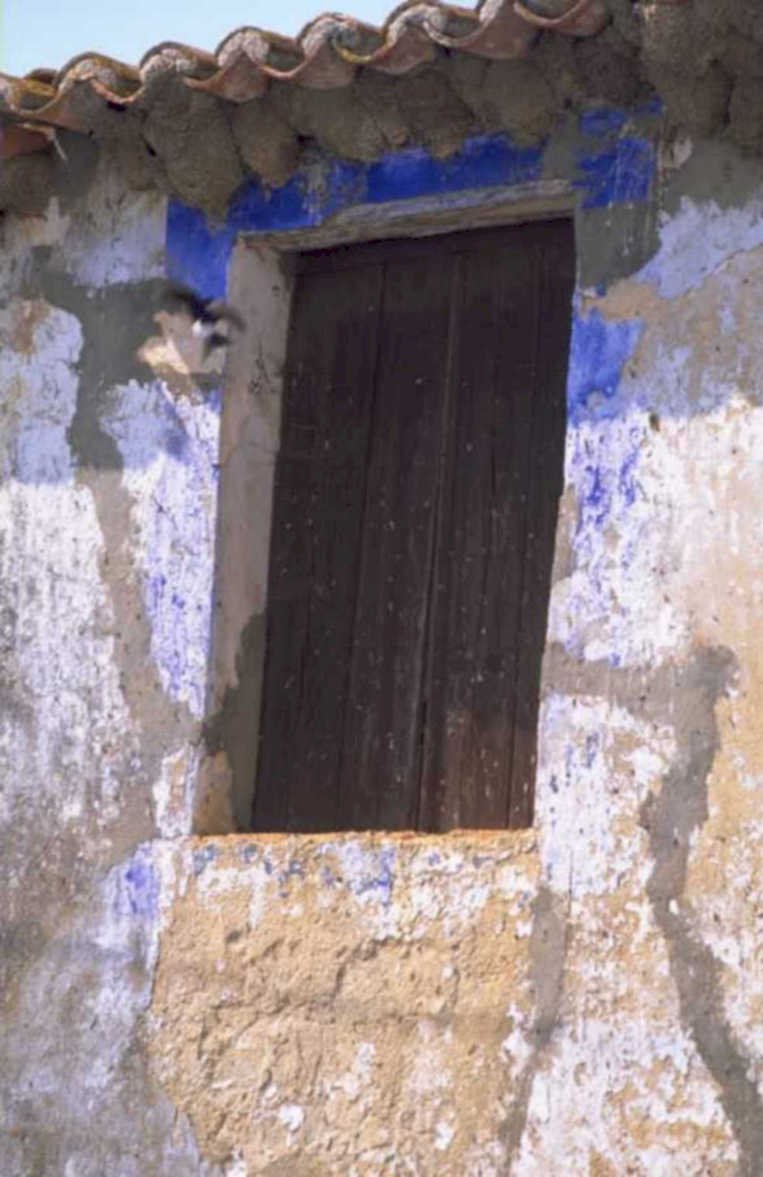 window detail rural 1980s 1990s A4 Photo Print