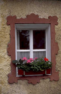 window frame geraniums 1980s 1990s A4 Photo Print
