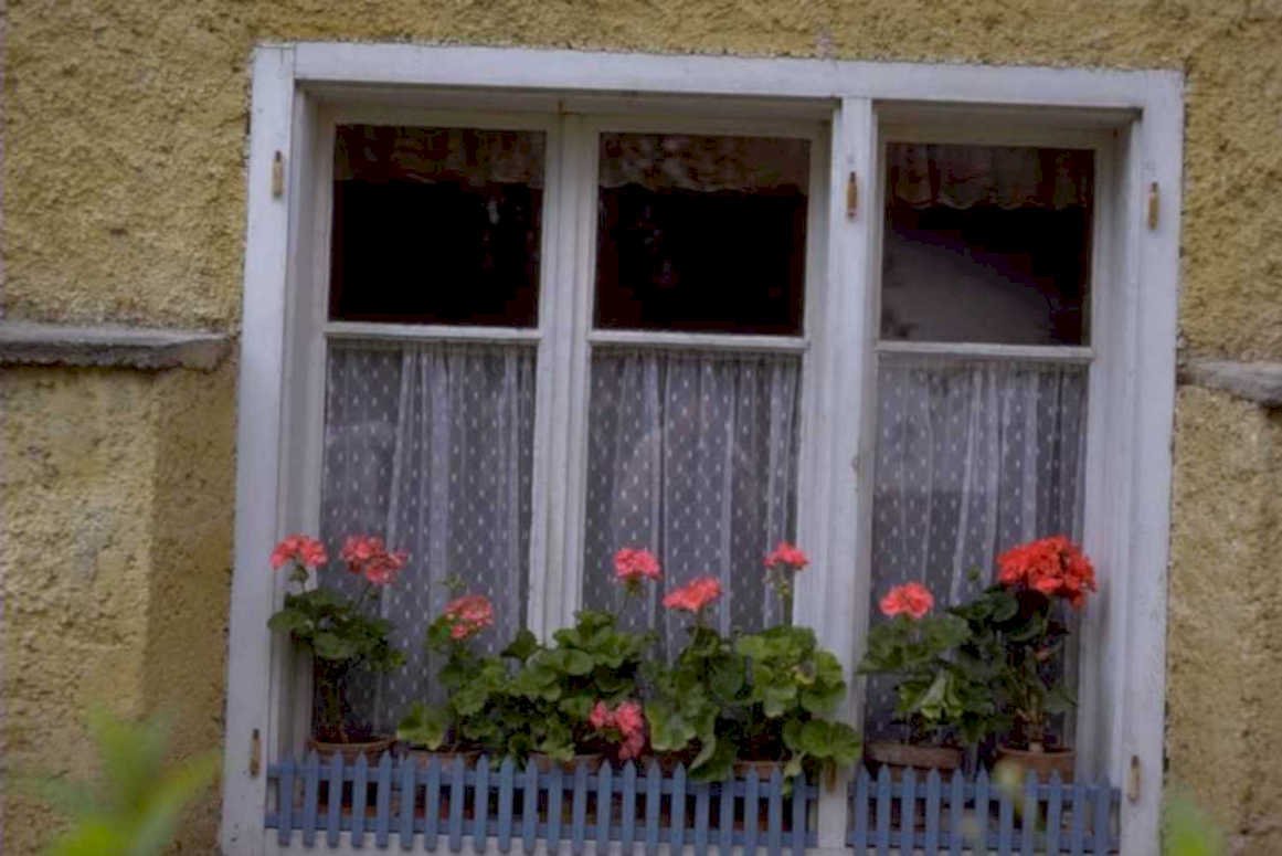 window geranium cottage 1980s 1990s A4 Photo Print