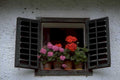 window geraniums box 1980s 1990s A4 Photo Print
