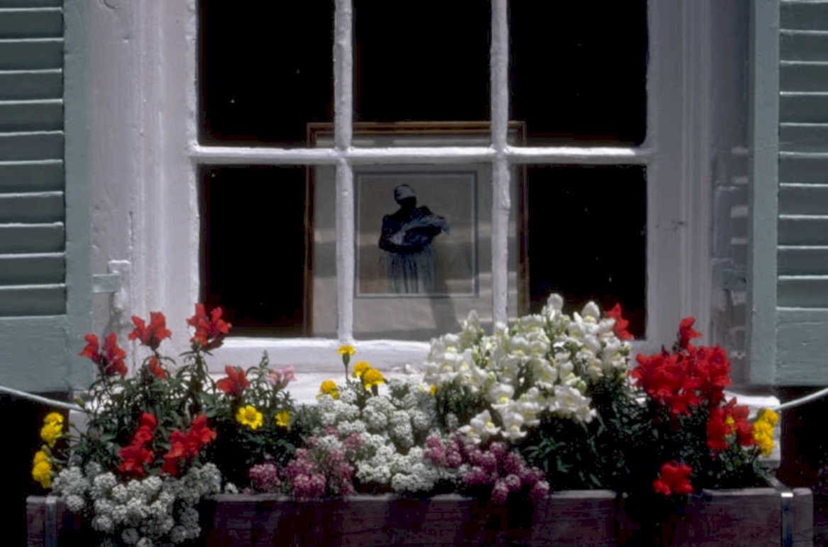 window reflection charleston 1980s 1990s A4 Photo Print