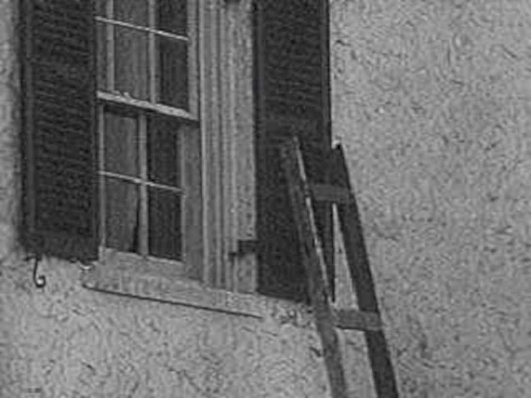 window shutters ladder1980s 1990s A4 Photo Print