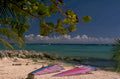 windsurfing beach boards 1980s 1990s A4 Photo Print
