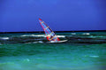 windsurfing beach sail1980s 1990s A4 Photo Print 42