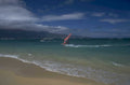 windsurfing hawaii beach 1980s 1990s A4 Photo Print