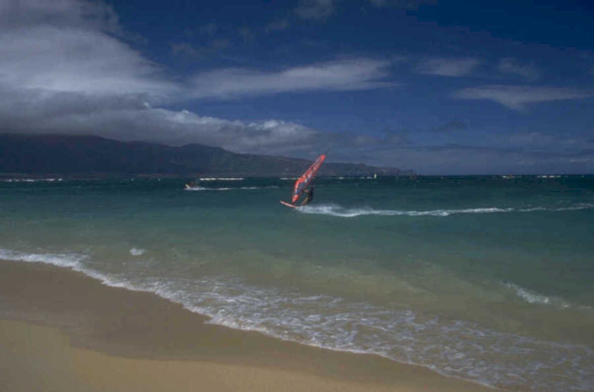 windsurfing hawaii beach 1980s 1990s A4 Photo Print
