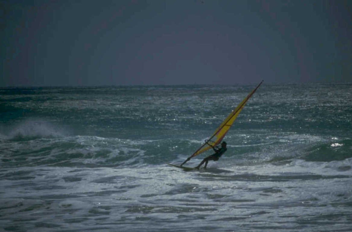 windsurfing sail wave 1980s 1990s A4 Photo Print