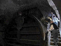 wine cellar ascent1980s 1990s A4 Photo Print