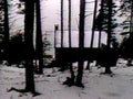 winter cabin deck1980s 1990s A4 Photo Print