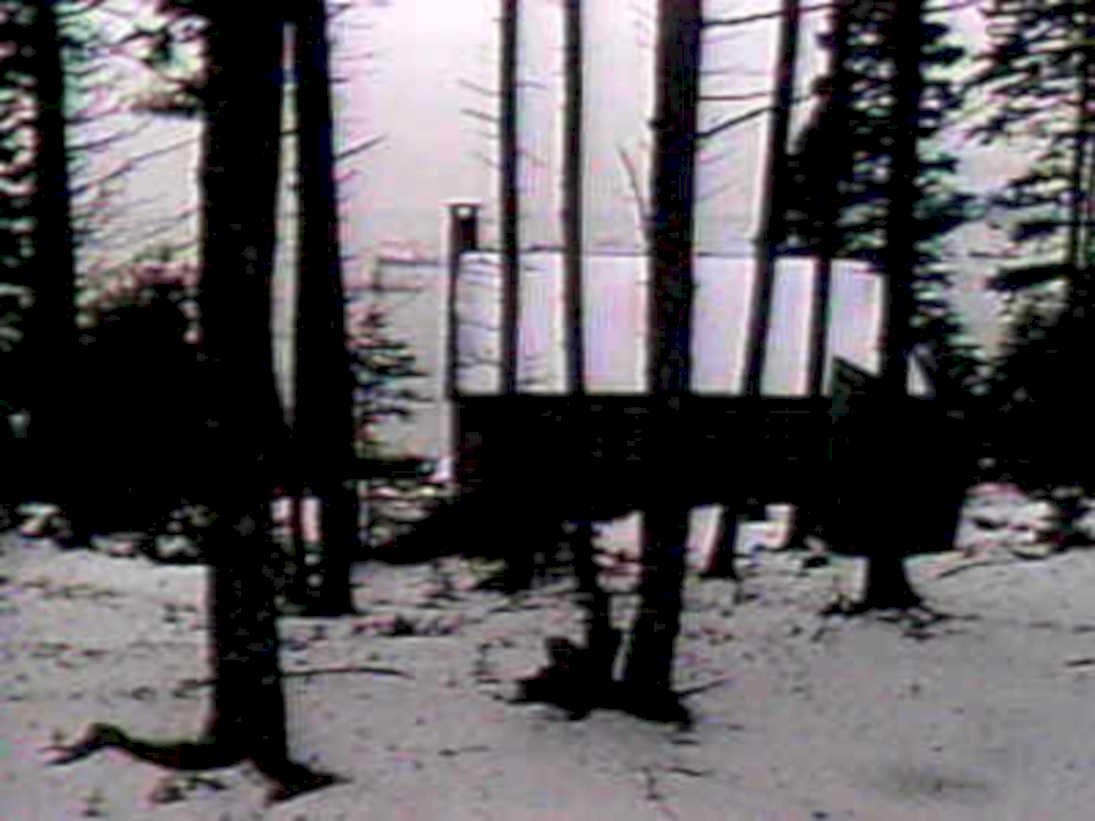 winter cabin deck1980s 1990s A4 Photo Print
