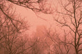winter castle fog 1980s 1990s A4 Photo Print