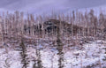 winter clearcut debris Vintage A4 Photo Print