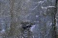 winter forest bridge 1980s 1990s A4 Photo Print
