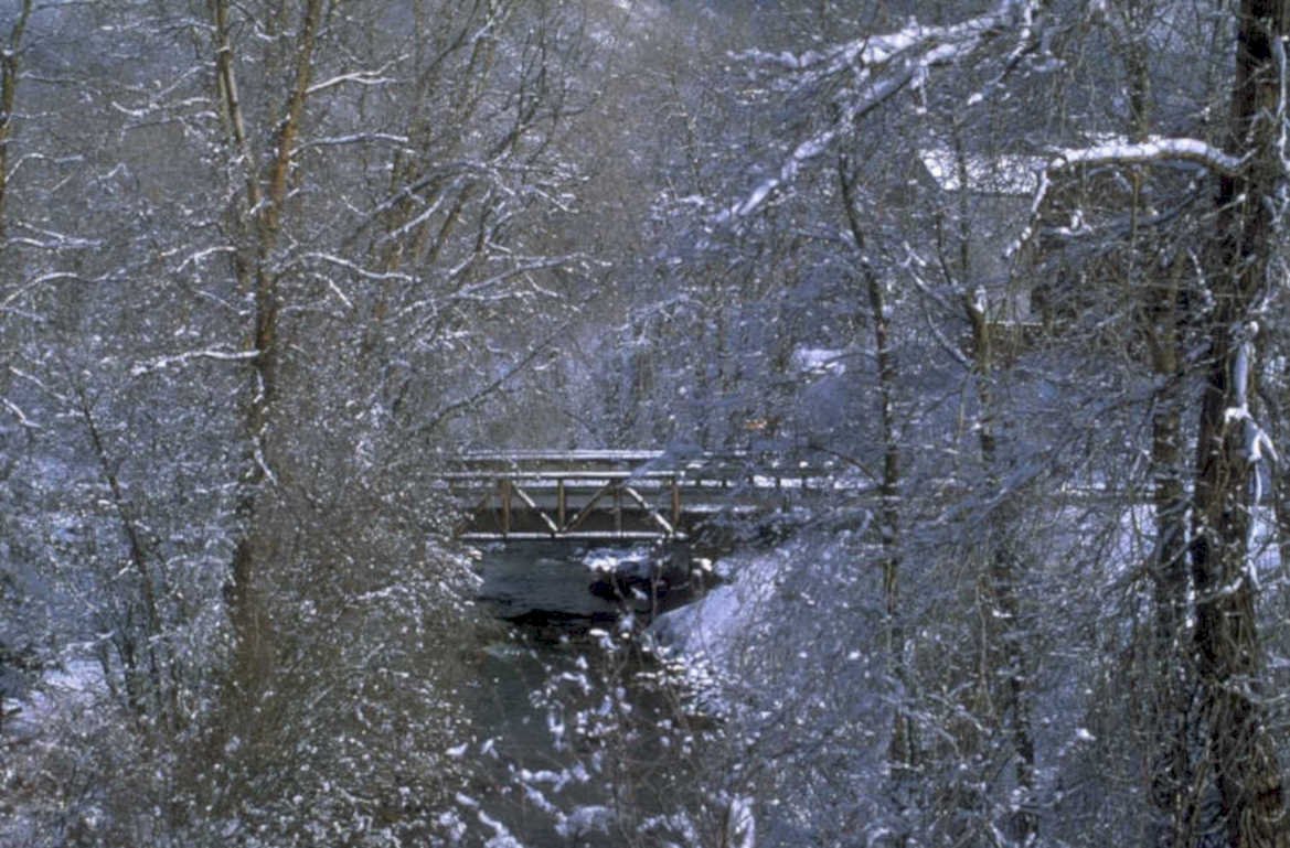 winter forest bridge 1980s 1990s A4 Photo Print
