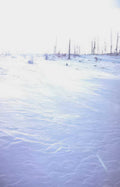 winter ice fishing Vintage A4 Photo Print