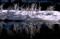 winter landscape reflection 1980s 1990s A4 Photo Print
