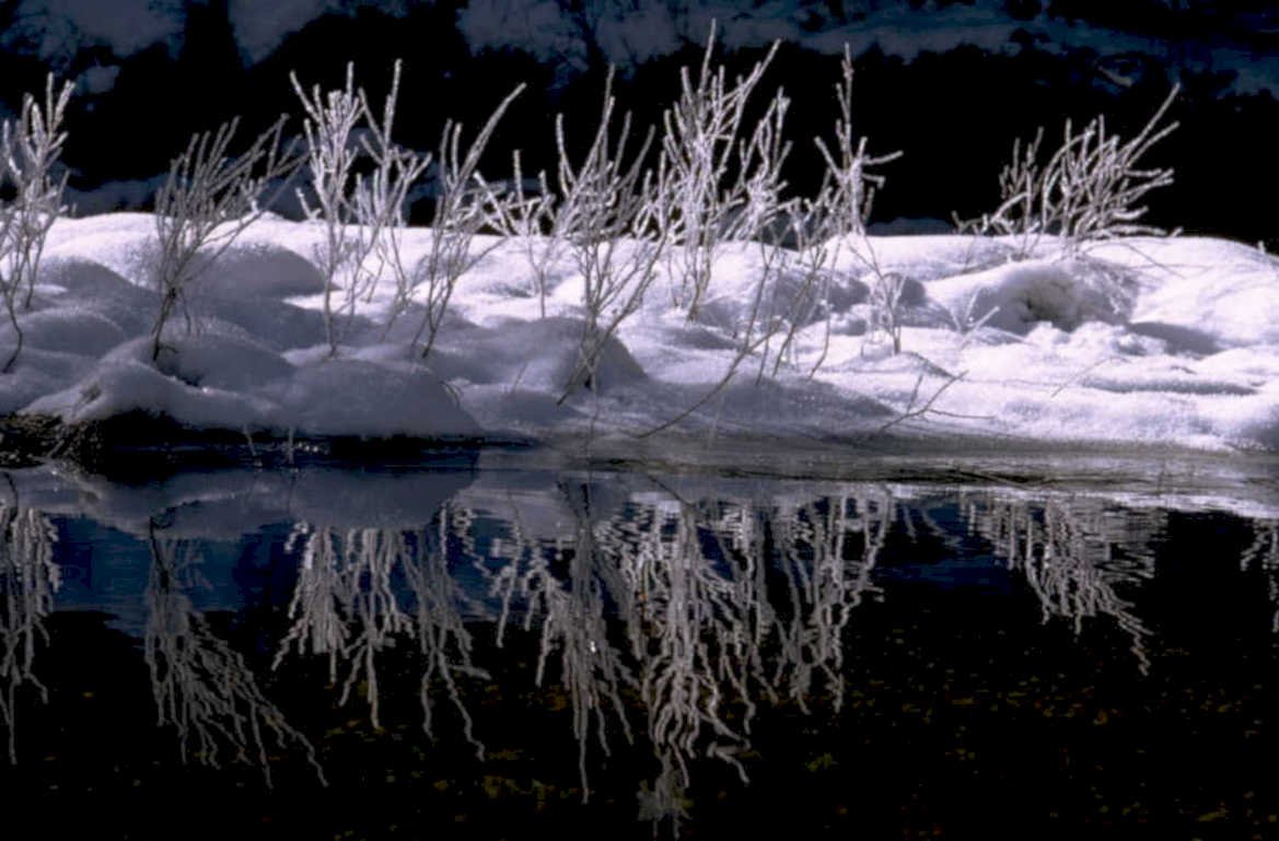 winter landscape reflection 1980s 1990s A4 Photo Print