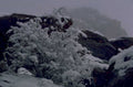 winter landscape rocks 1980s 1990s A4 Photo Print