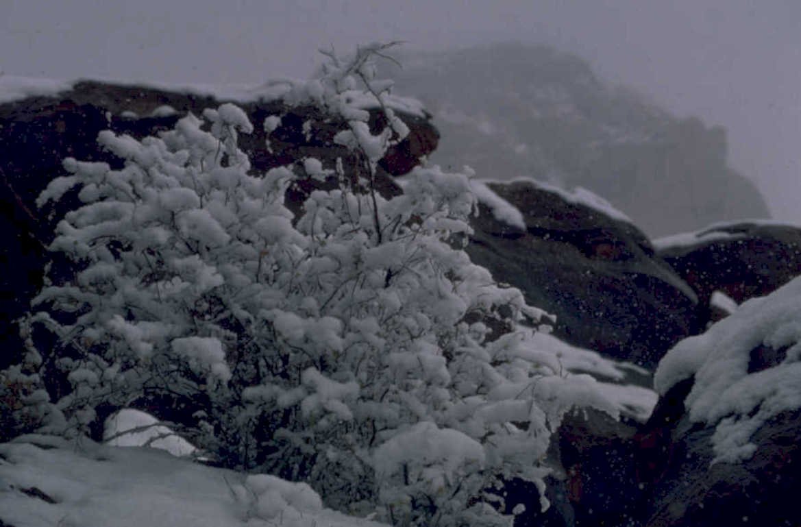 winter landscape rocks 1980s 1990s A4 Photo Print
