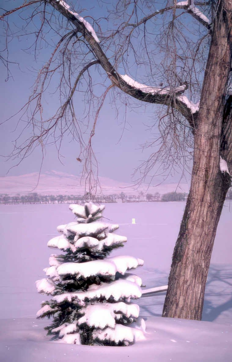winter landscape scene Vintage A4 Photo Print