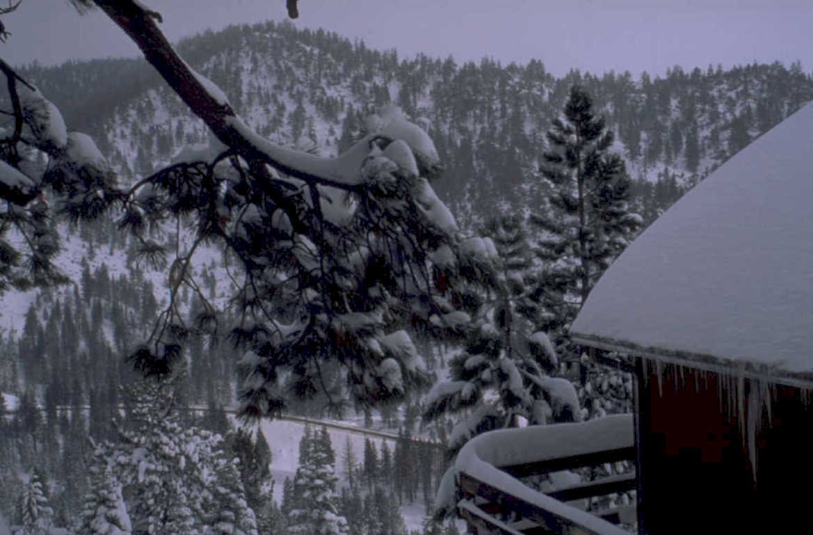 winter landscape snow 1980s 1990s A4 Photo Print 42