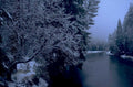 winter landscape snow 1980s 1990s A4 Photo Print