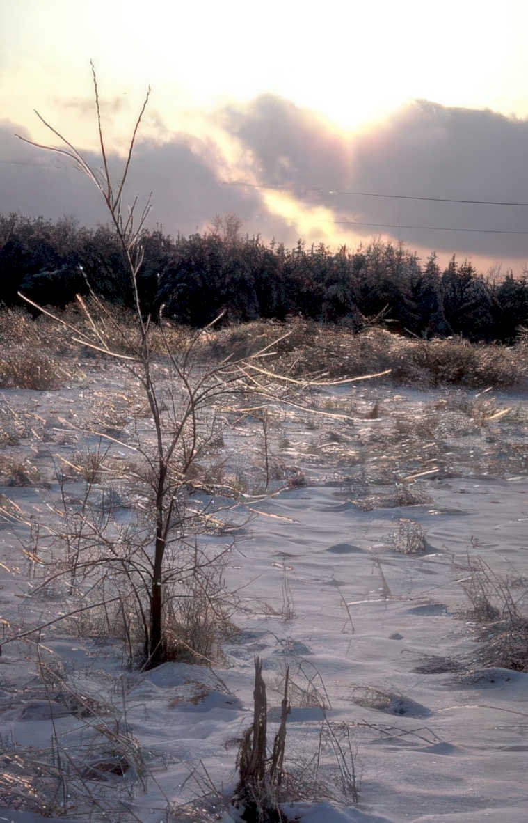 winter landscape snow Vintage A4 Photo Print