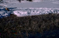 winter landscape snowdrift Vintage A4 Photo Print