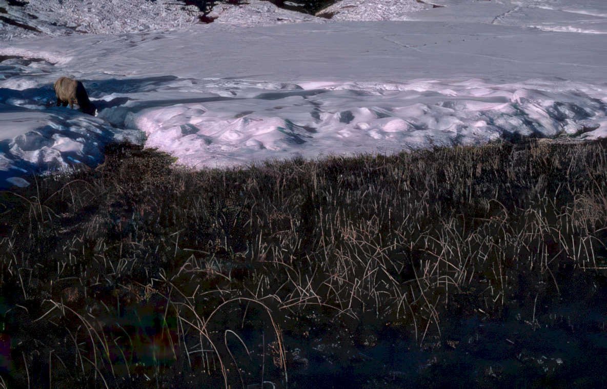 winter landscape snowdrift Vintage A4 Photo Print