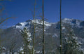 winter mountain scape GIGA 2