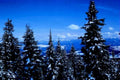 winter mountains forest1980s 1990s A4 Photo Print