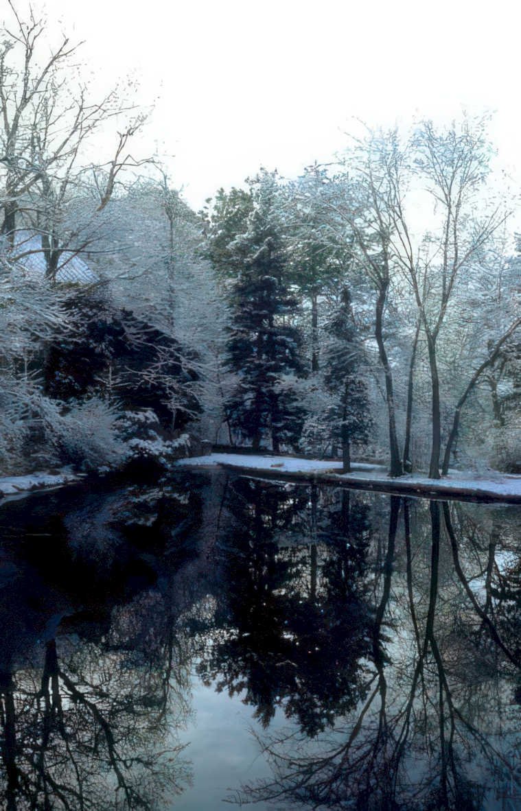 winter pond reflection Vintage A4 Photo Print