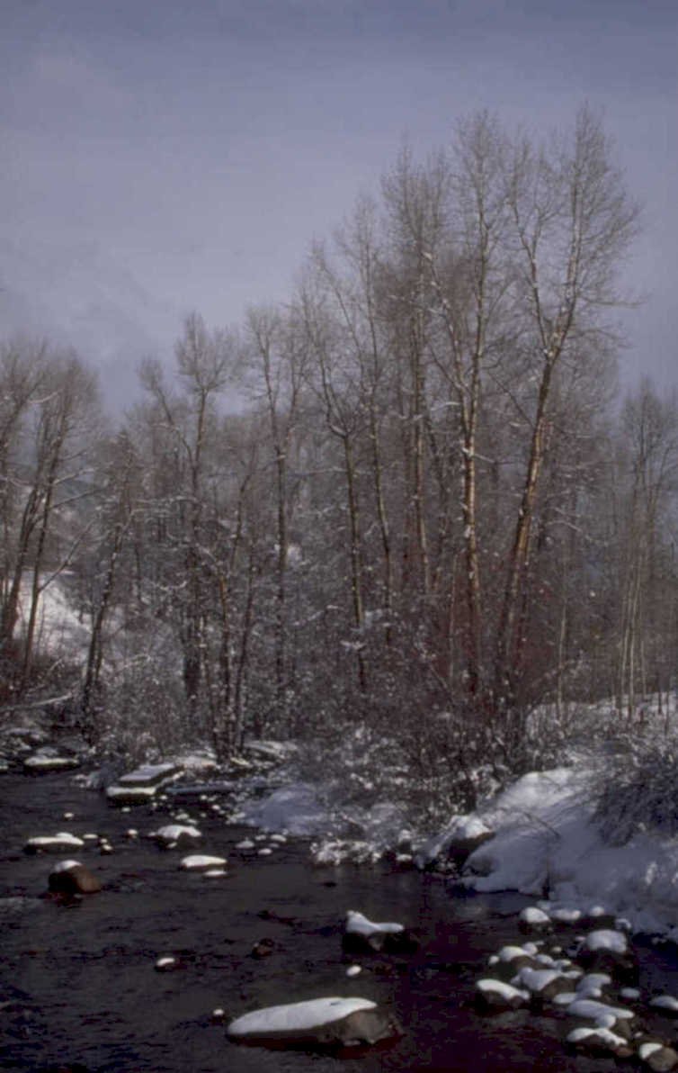 winter river scene 1980s 1990s A4 Photo Print
