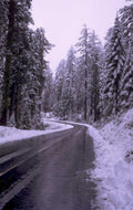 winter road forest 1980s 1990s A4 Photo Print