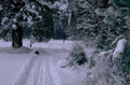 winter snowscape road 1980s 1990s A4 Photo Print