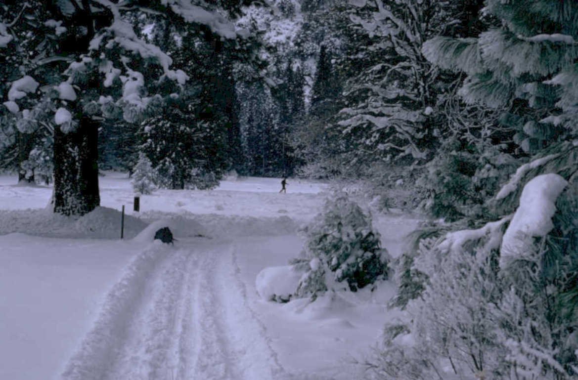 winter snowscape road 1980s 1990s A4 Photo Print
