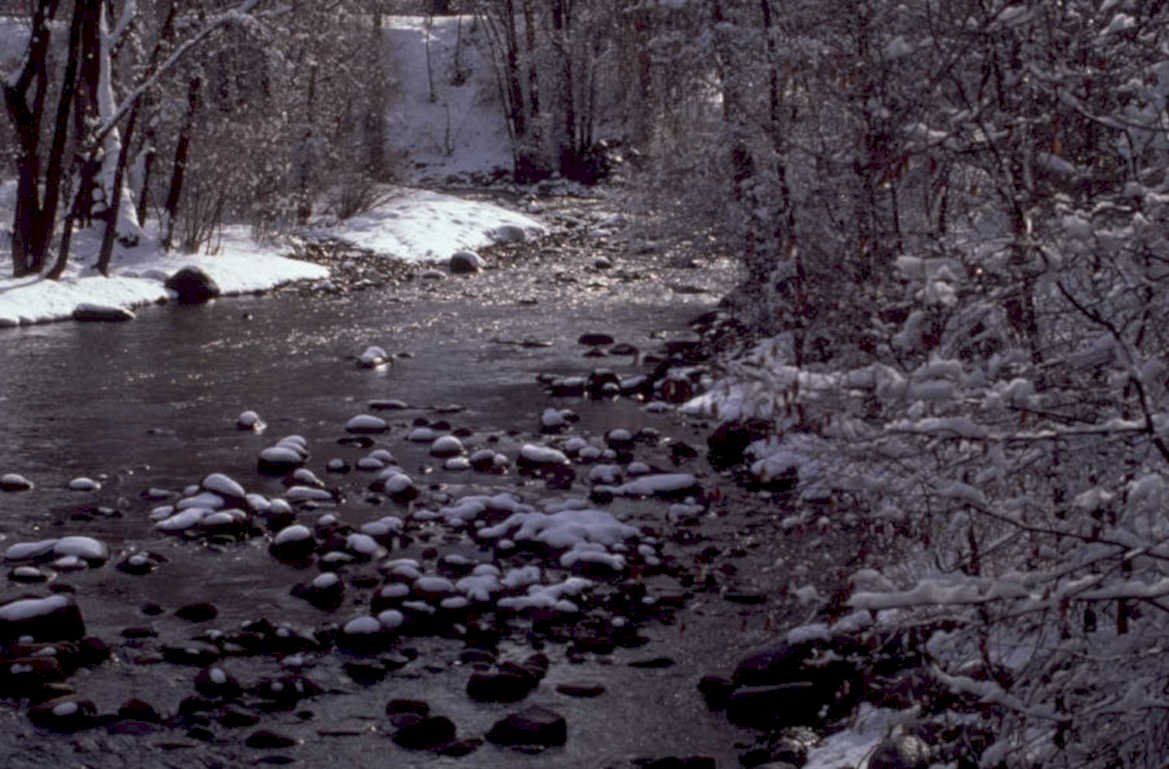 winter stream landscape 1980s 1990s A4 Photo Print