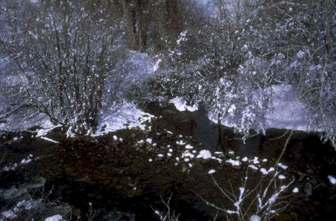 winter stream scene 1 1980s 1990s A4 Photo Print
