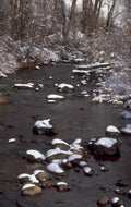 winter stream scene 2 1980s 1990s A4 Photo Print