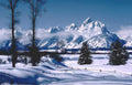 winter teton mountains Vintage A4 Photo Print