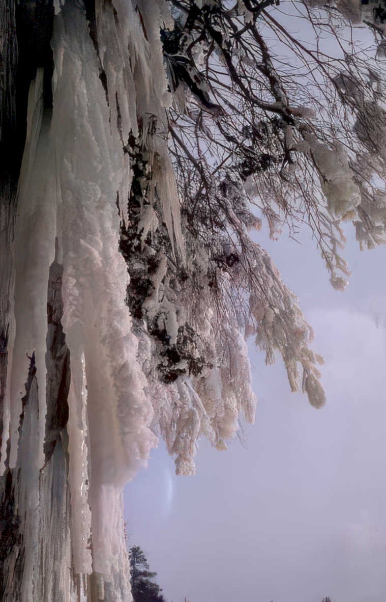 winter tree ice Vintage A4 Photo Print