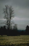 winter tree landscape Vintage A4 Photo Print