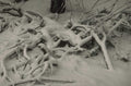 winter tree snow 1980s 1990s A4 Photo Print